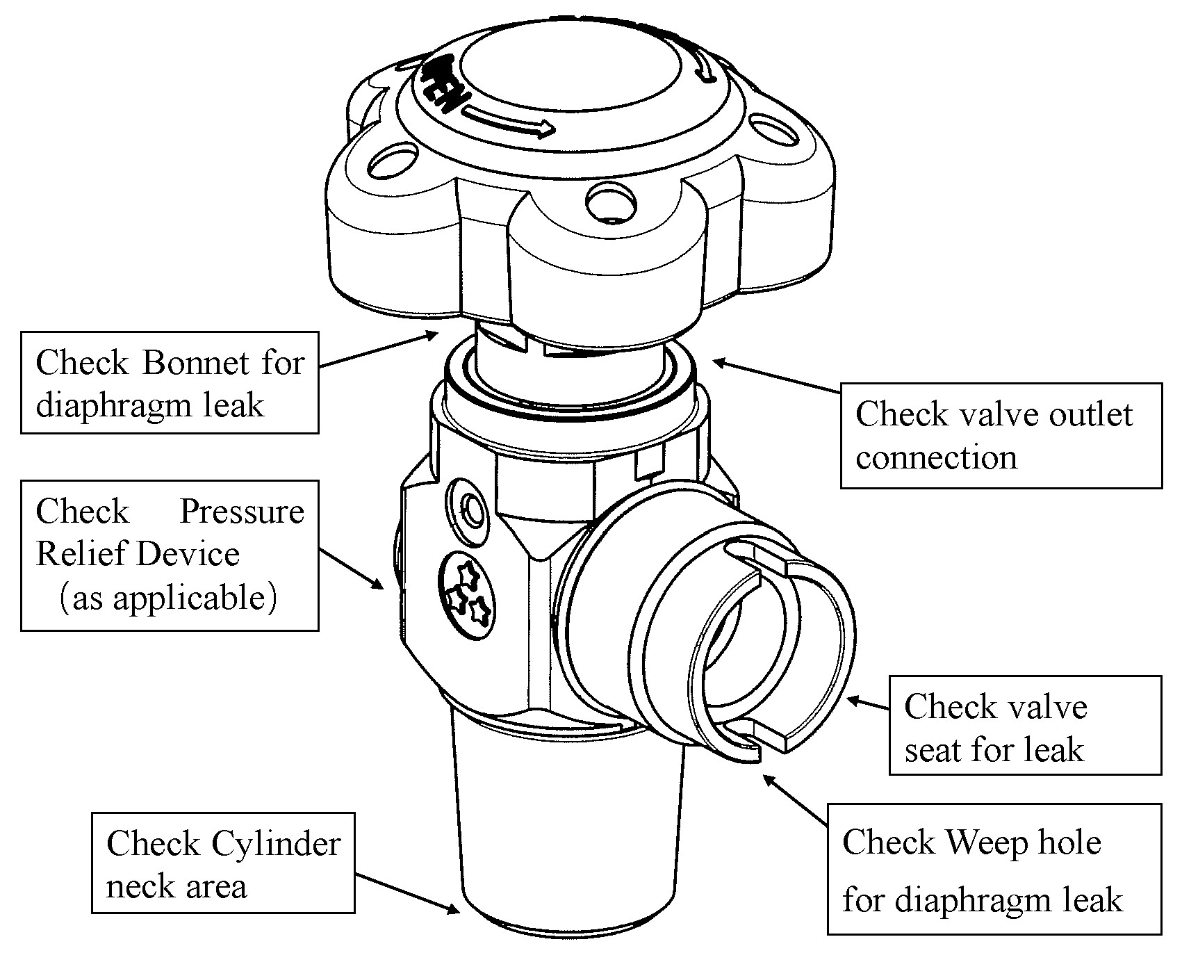 Leak Check